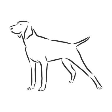 Köpek Şovu etiketleri, amblemleri, ödüller, çizimler ve köpek siluetleri.