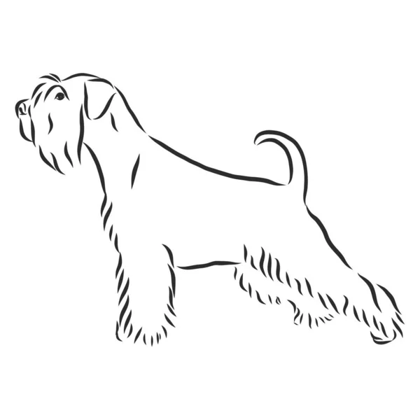 Dekoracyjny Portret Stojącego Profilu Psa Miniaturowy Sznaucer Wektor Izolowana Ilustracja — Wektor stockowy