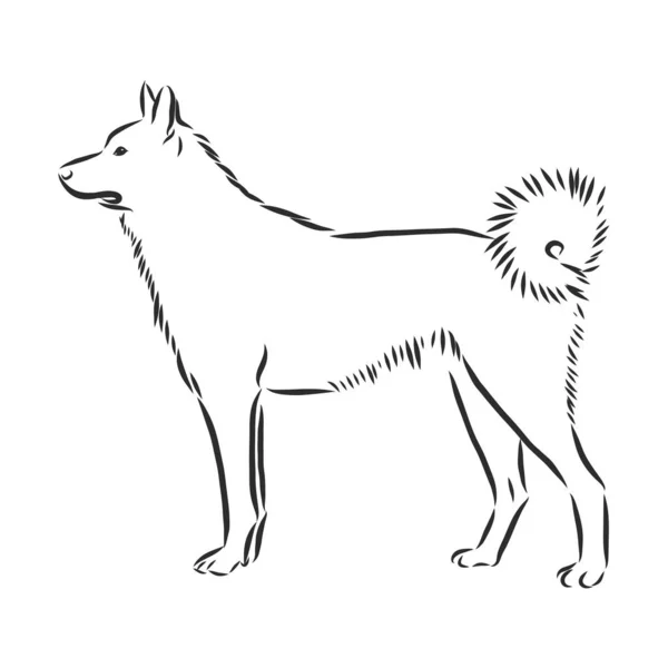 Enkele Continue Lijn Tekening Van Eenvoudige Schattige Siberische Husky Puppy — Stockvector