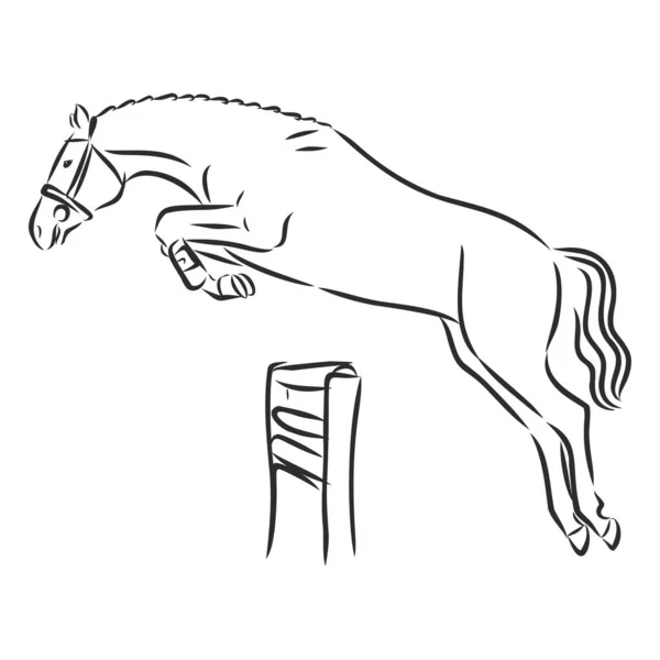 Náčrt Drezurního Jezdce Koni Který Provádí Půlku Průsmyku — Stockový vektor