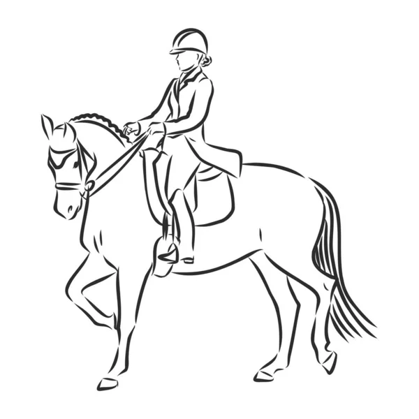 Croquis Cavalier Dressage Sur Cheval Exécutant Demi Passe — Image vectorielle