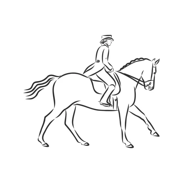 半券を実行する馬の上の馬場馬術家のスケッチ — ストックベクタ