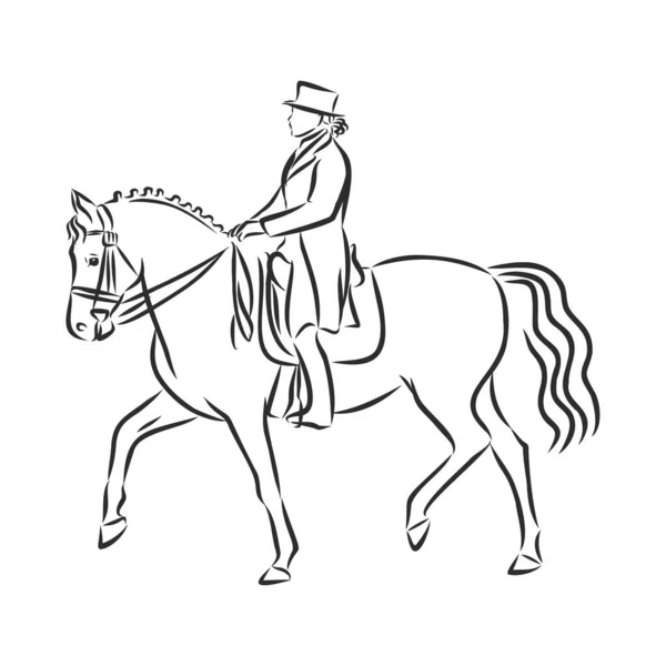 骑手骑着马在半道上执行马术的服装骑手的草图 — 图库矢量图片