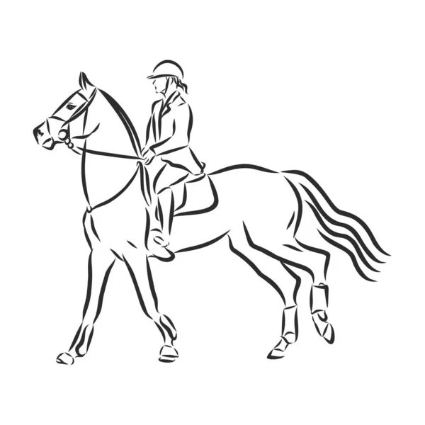 Uno Schizzo Cavaliere Dressage Cavallo Che Esegue Mezzo Passo — Vettoriale Stock