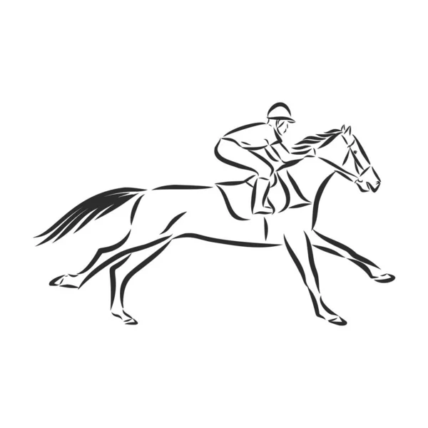 Vektorová Ilustrace Závodního Koně Žokeje — Stockový vektor