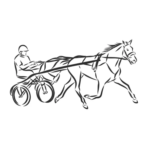 Vektorillustration Eines Rennpferdes Und Jockeys — Stockvektor