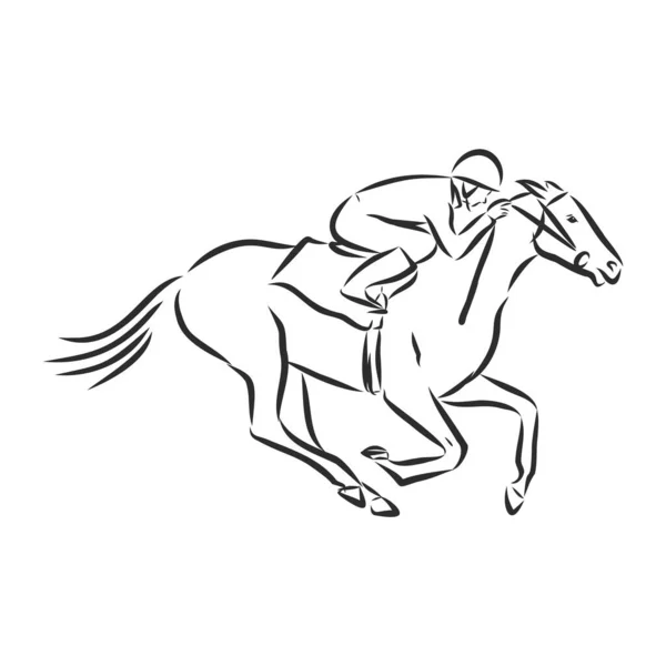 Εικονογράφηση Διάνυσμα Ενός Αγωνιστικού Αλόγου Και Αναβάτη — Διανυσματικό Αρχείο