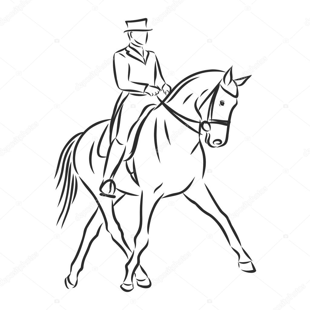 A sketch of a dressage rider on a horse executing the half pass.