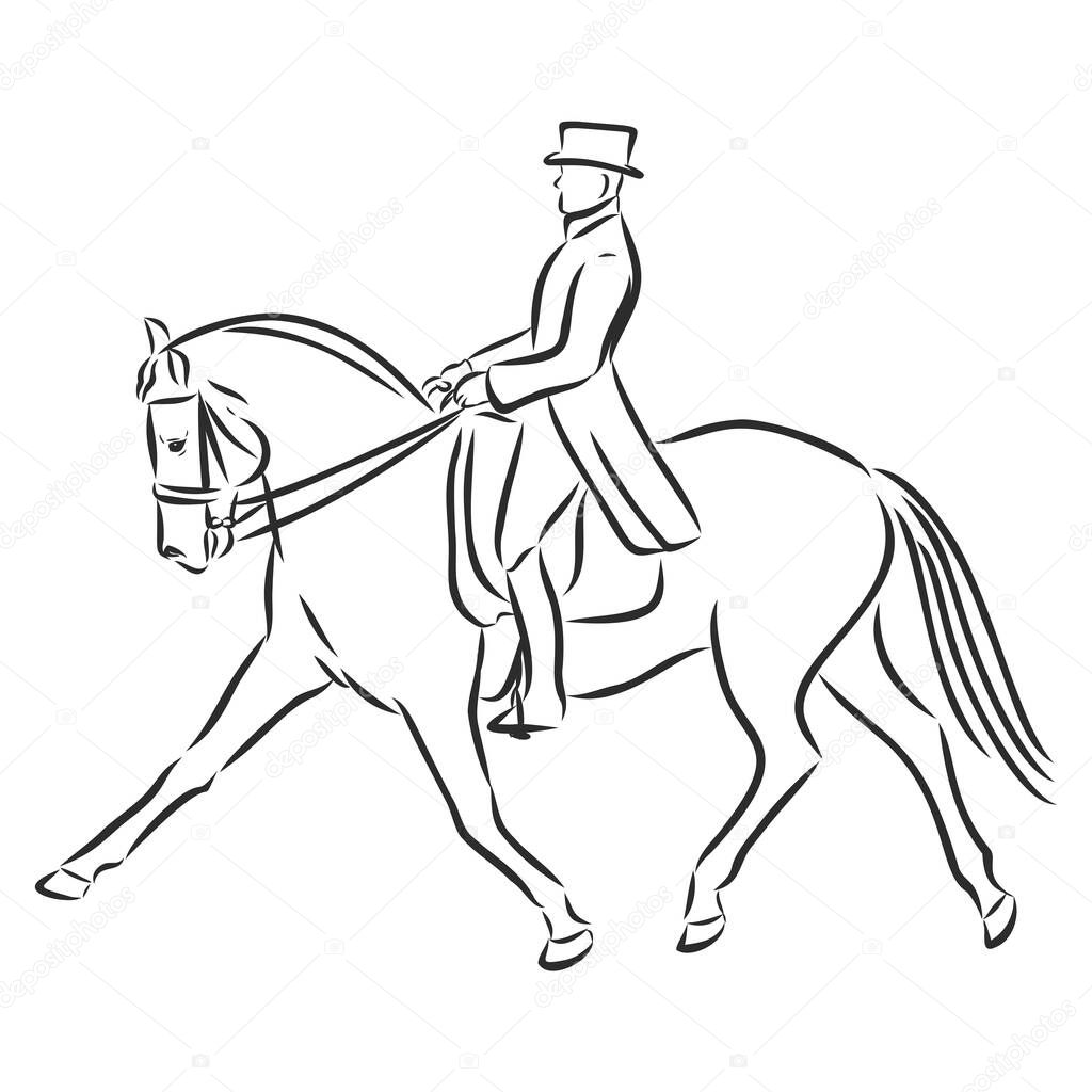 A sketch of a dressage rider on a horse executing the half pass.