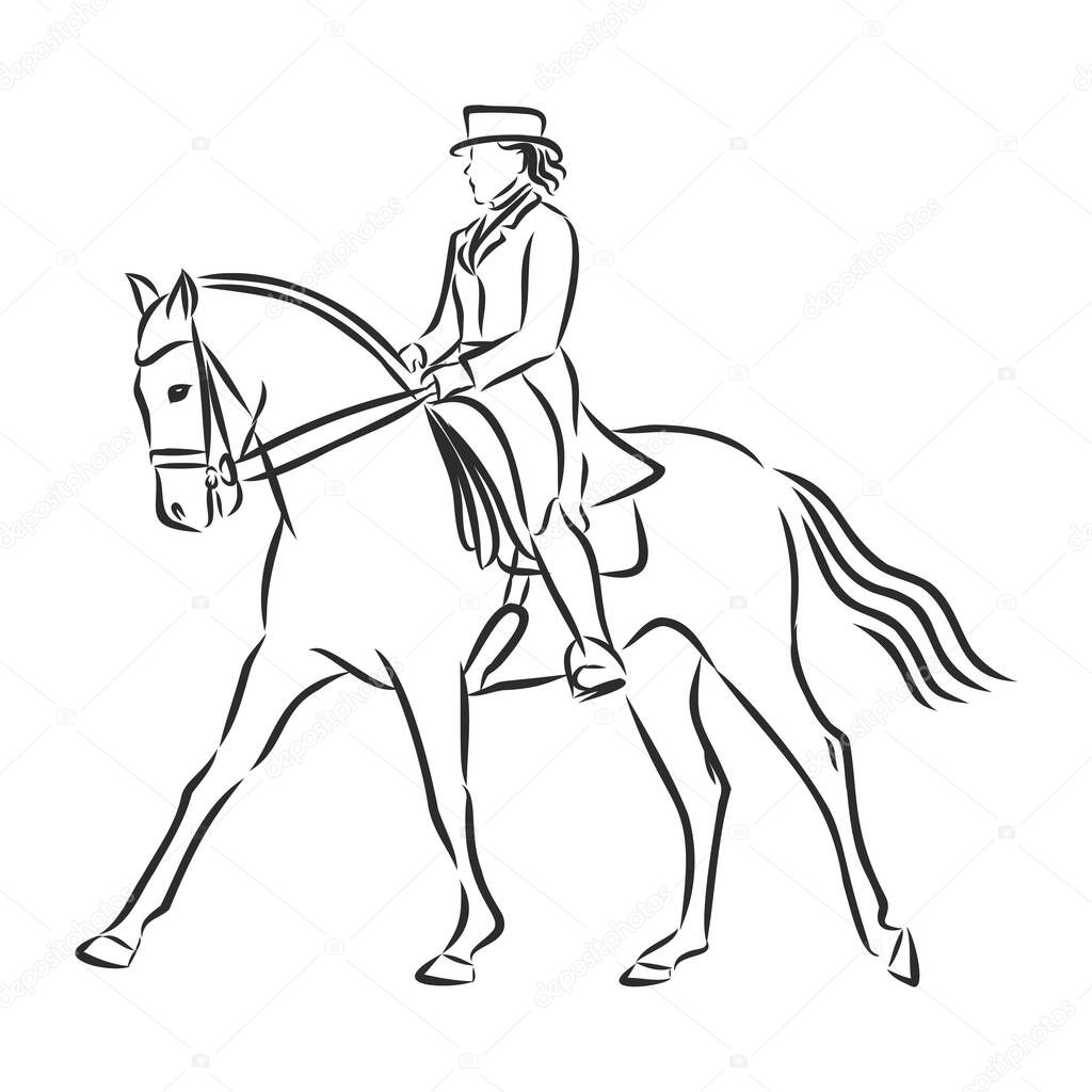 A sketch of a dressage rider on a horse executing the half pass.