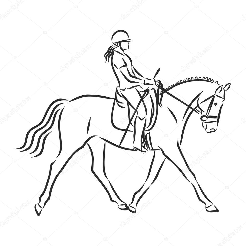 A sketch of a dressage rider on a horse executing the half pass.