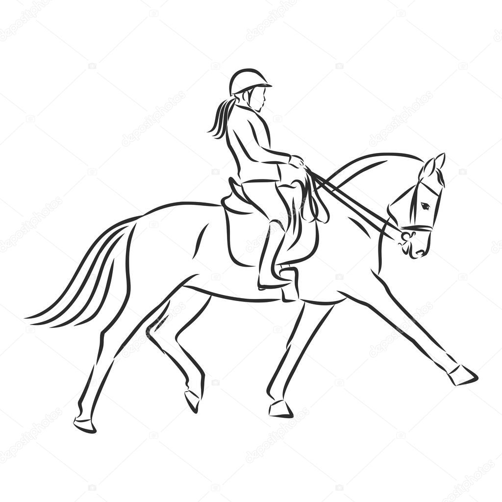 A sketch of a dressage rider on a horse executing the half pass.