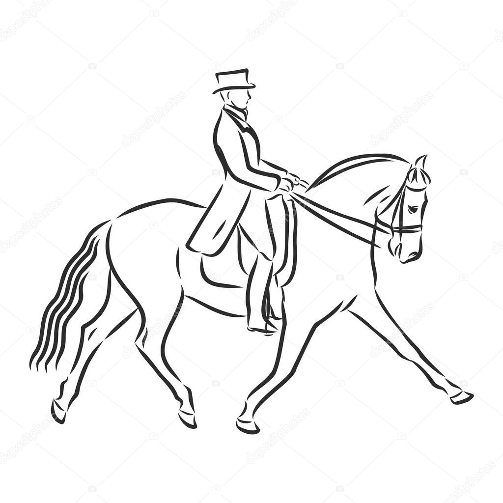 A sketch of a dressage rider on a horse executing the half pass.