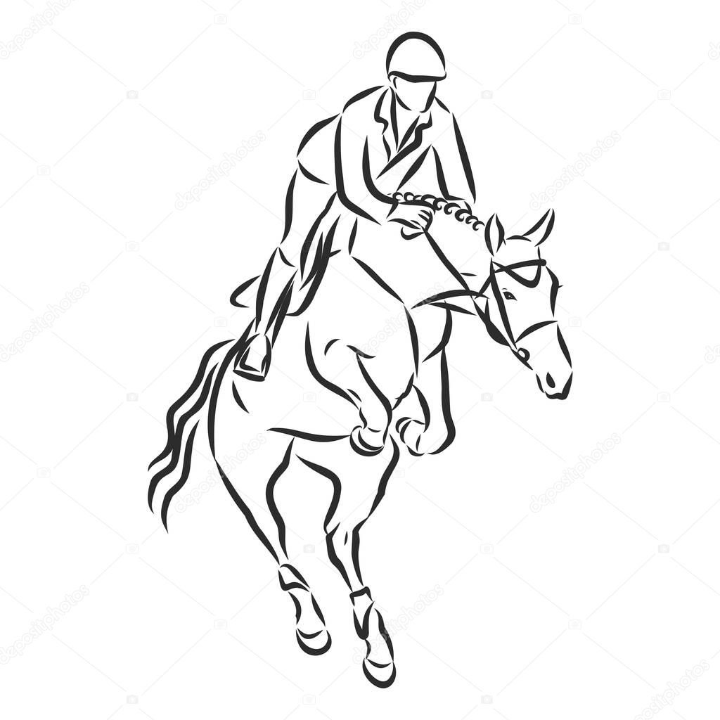 jumping horse,black white picture isolated on white background,vector illustration