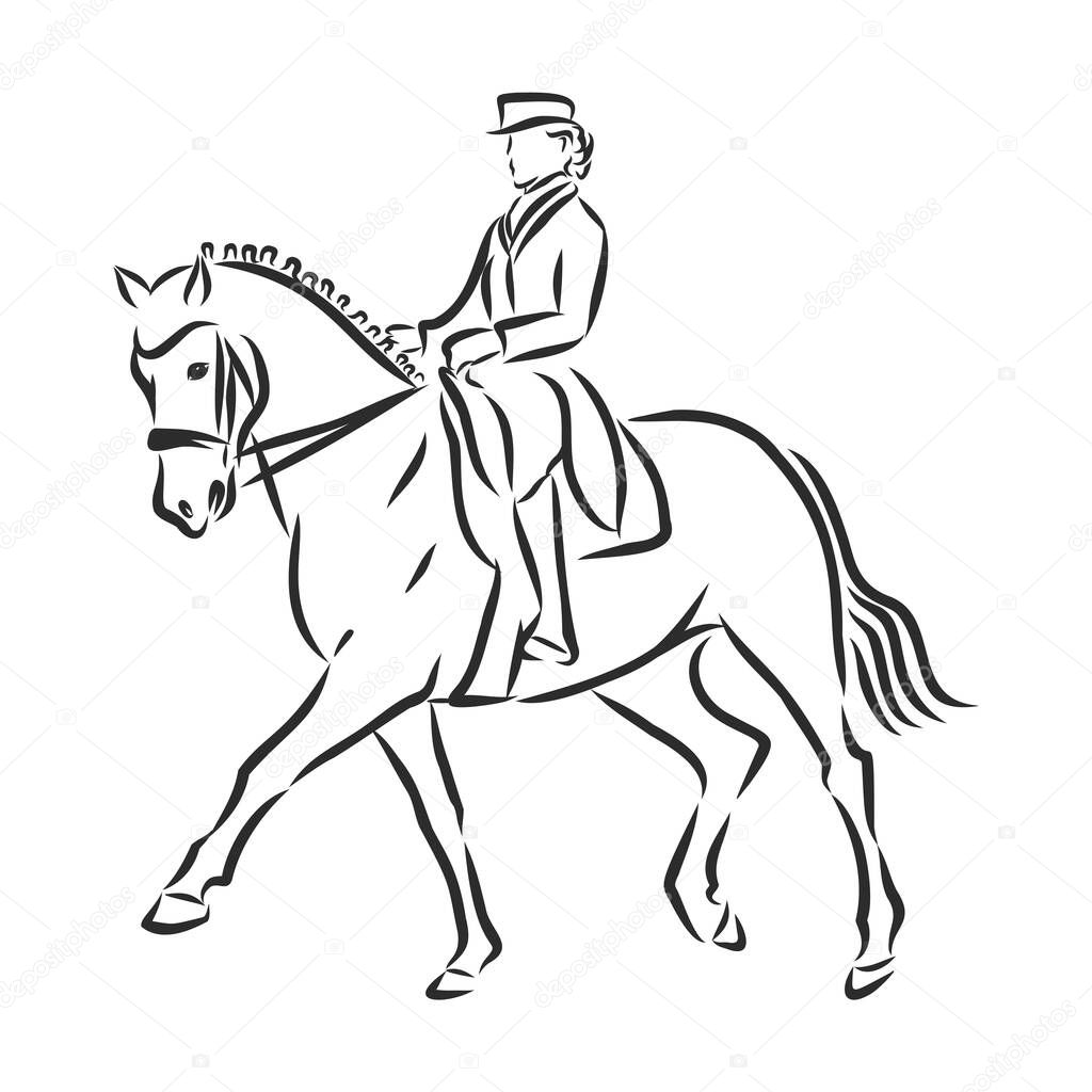 A sketch of a dressage rider on a horse executing the half pass.