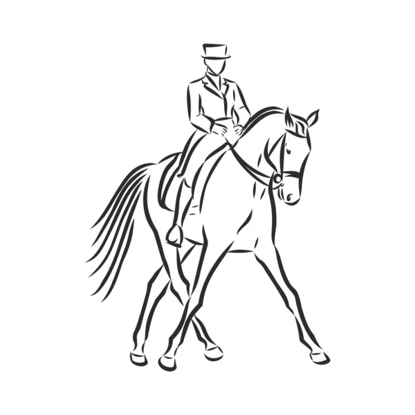 骑手骑着马在半道上执行马术的服装骑手的草图 — 图库矢量图片