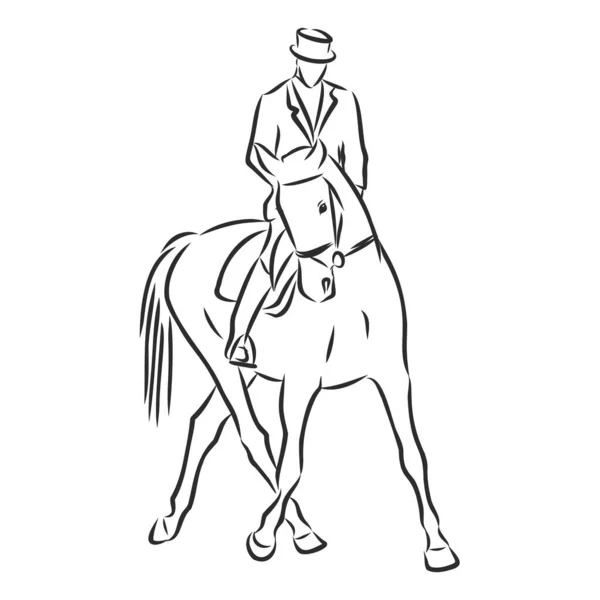Croquis Cavalier Dressage Sur Cheval Exécutant Demi Passe — Image vectorielle