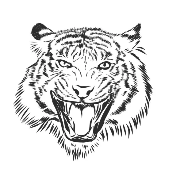 Silueta Cabeza Tigre Enojado Ilustración Boceto Vectorial — Archivo Imágenes Vectoriales