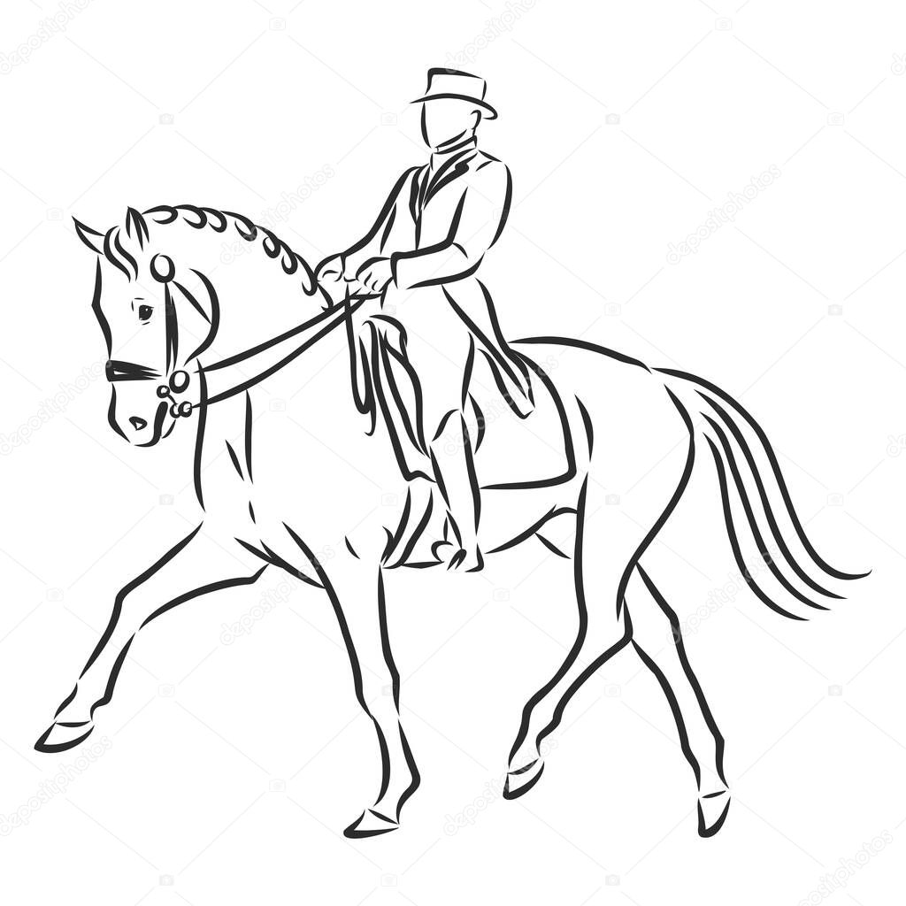 A sketch of a dressage rider on a horse executing the half pass.