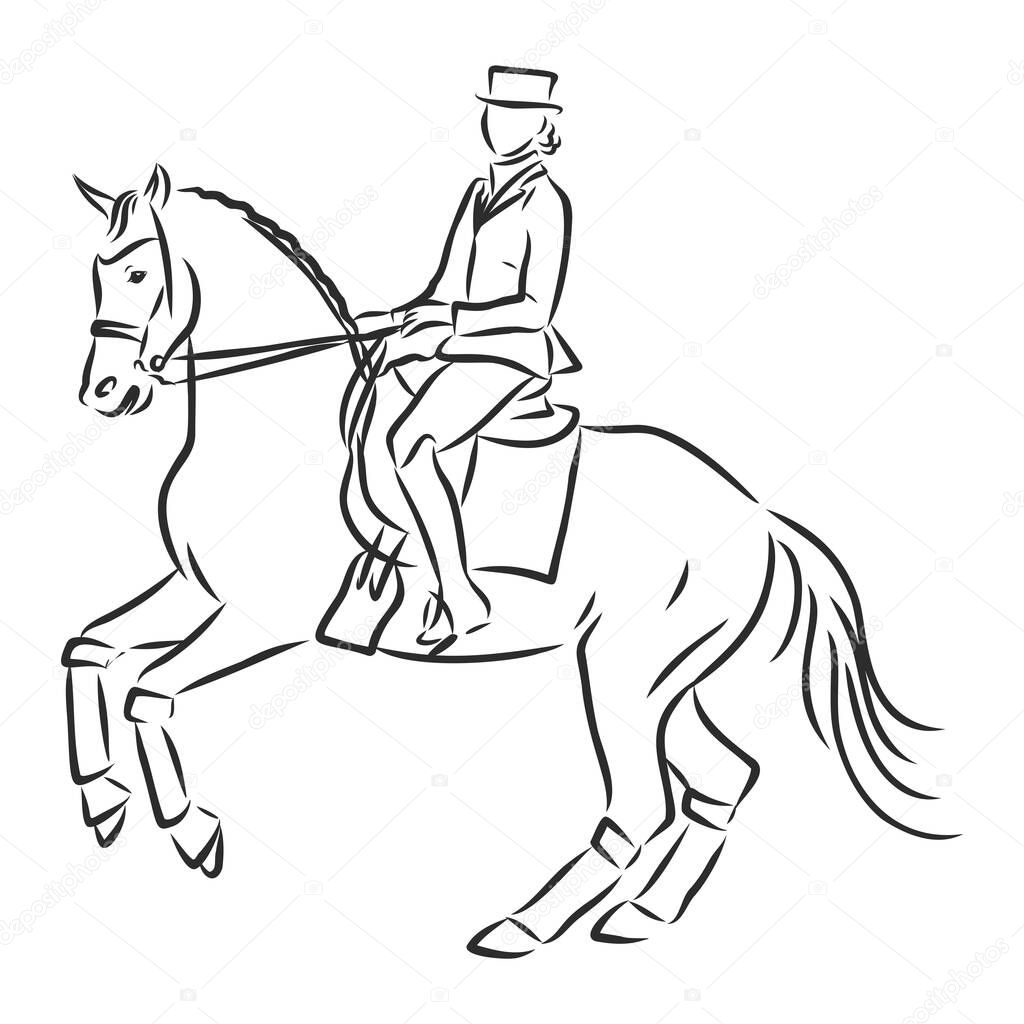 A sketch of a dressage rider on a horse executing the half pass.