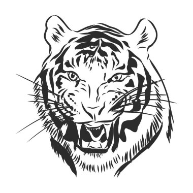 Kaplan kafası oyma vektör çizimi, el çizimi, çizim