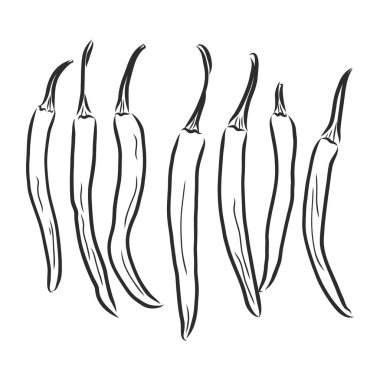 Vektör çizimi Chili biber düz stili, ince çizgi