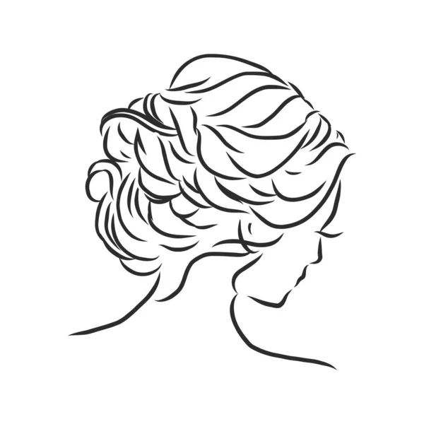 Sketch Female Hairstyle Freehand Vector Illustration — Stock Vector