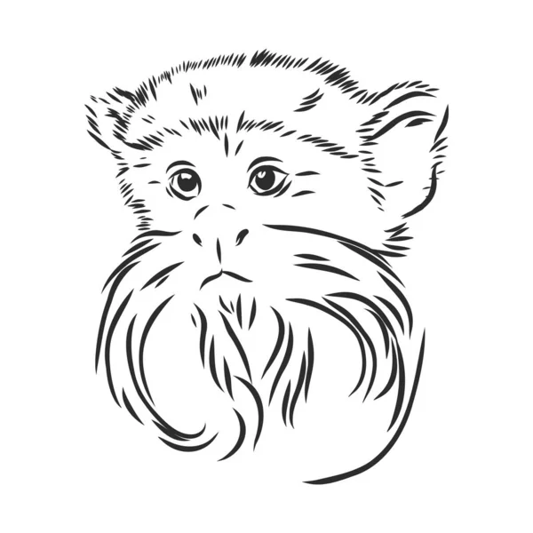 Vector Illustration Hand Drawn Sketch Young Orangutan Smile Saying Hello — Stock Vector
