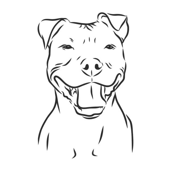 Skizze Eines Lustigen Hundes Vektorillustration — Stockvektor