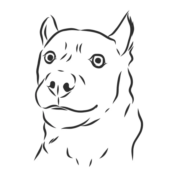 Croquis Chien Drôle Illustration Vectorielle — Image vectorielle