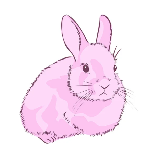 Ручной Кролик Ретро Реалистичное Животное Изолировано Винтажный Стиль Графический Дизайн — стоковый вектор