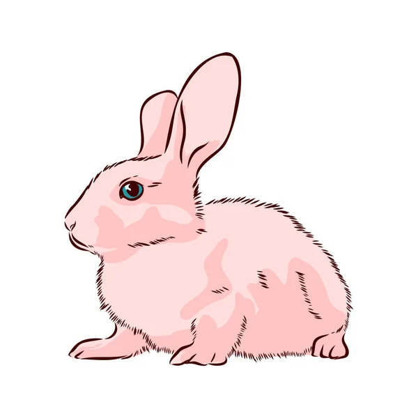 Croquis Lapin Illustration Vectorielle Dessinée Main — Image vectorielle