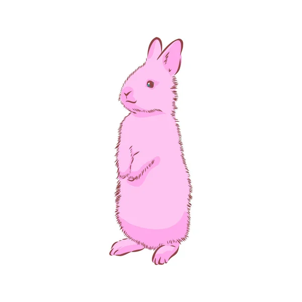 Uno Schizzo Coniglio Illustrazione Del Vettore Disegnato Mano — Vettoriale Stock