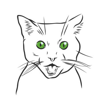Kedi portresi. El çizimi illüstrasyon