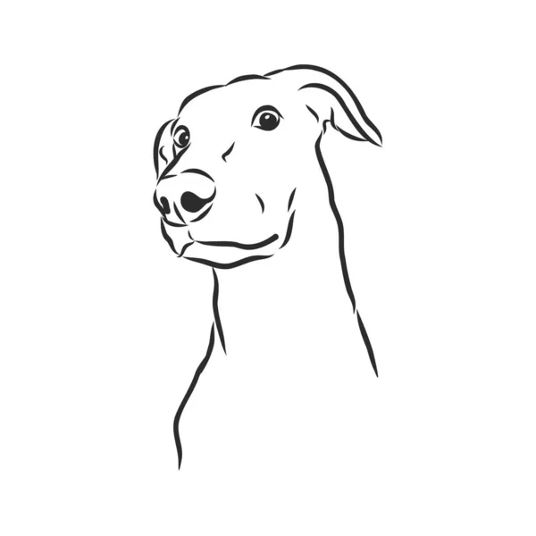 Croquis Drôle Chien Surprenant Illustration Vectorielle — Image vectorielle