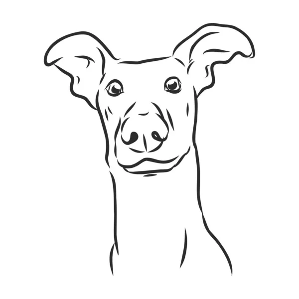 Een Tekening Van Een Grappige Verrassende Hond Vectorillustratie — Stockvector