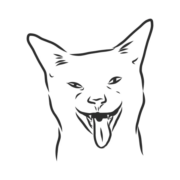 Cat Portrait Hand Drawn Illustration — Stock Vector
