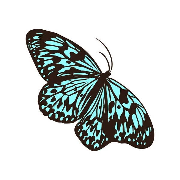 Έντομα Ρεαλιστική Έγχρωμη Πεταλούδα Απομονωμένη Λευκό Φόντο Διανυσματική Απεικόνιση — Διανυσματικό Αρχείο