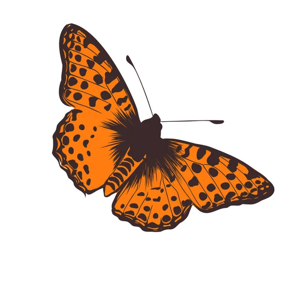 Insekten Realistisch Farbigen Schmetterling Isoliert Auf Weißem Hintergrund Vektor Illustration — Stockvektor