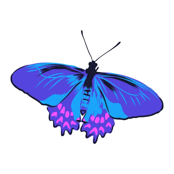 Έντομα Ρεαλιστική Έγχρωμη Πεταλούδα Απομονωμένη Λευκό Φόντο Διανυσματική Απεικόνιση — Διανυσματικό Αρχείο