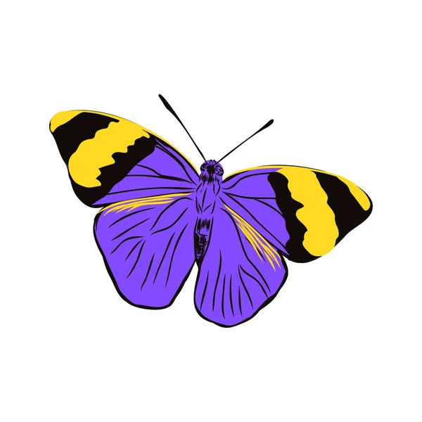 Insectos Realista Mariposa Color Aislado Sobre Fondo Blanco Vector Ilustración — Vector de stock