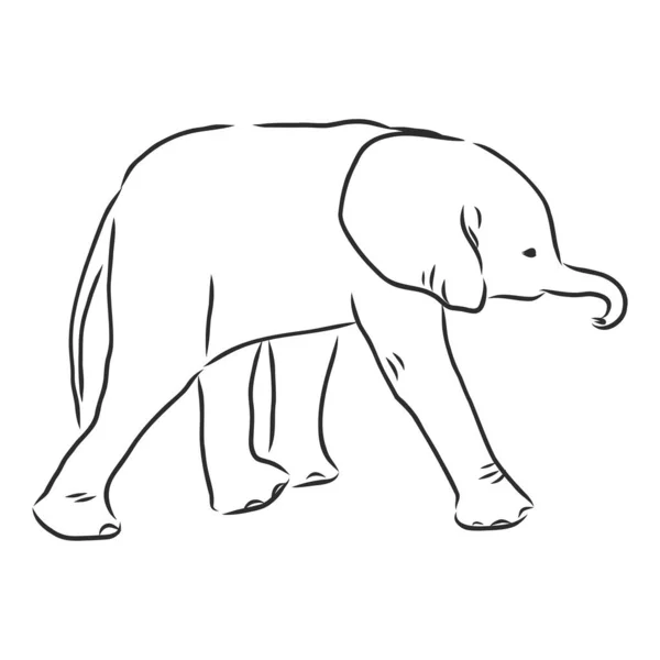 Bébé Éléphant Dans Style Contour Isolé Sur Fond Blanc Illustration — Image vectorielle