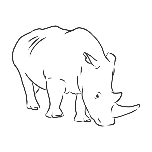 Rhinocéros Afrique Animal Sauvage Sur Fond Blanc Esquisse Art Gravée — Image vectorielle