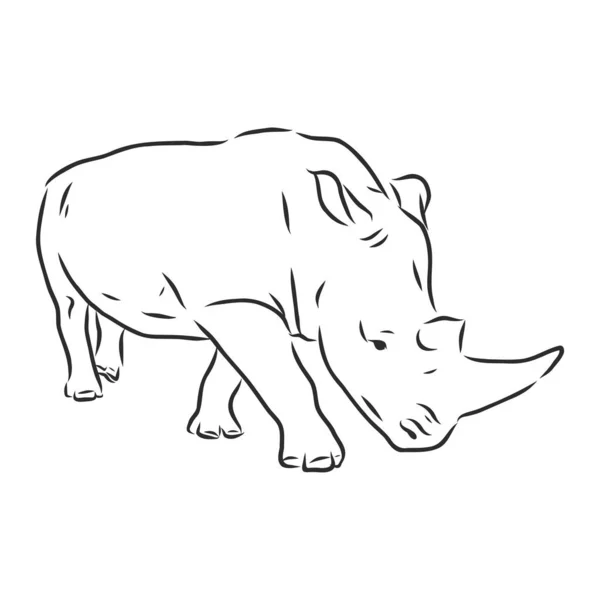 African Rhinoceros Wild Animal White Background Engraved Hand Drawn Line — Stock Vector
