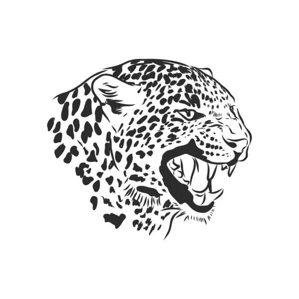 Black White Vector Sketch Leopard Face — Stock Vector