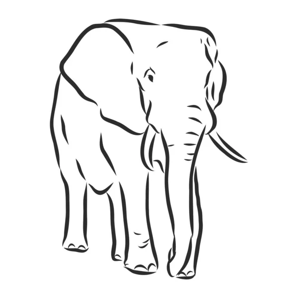 Silhouet Olifant Vrije Hand Een Witte Achtergrond Vector Illustratie — Stockvector