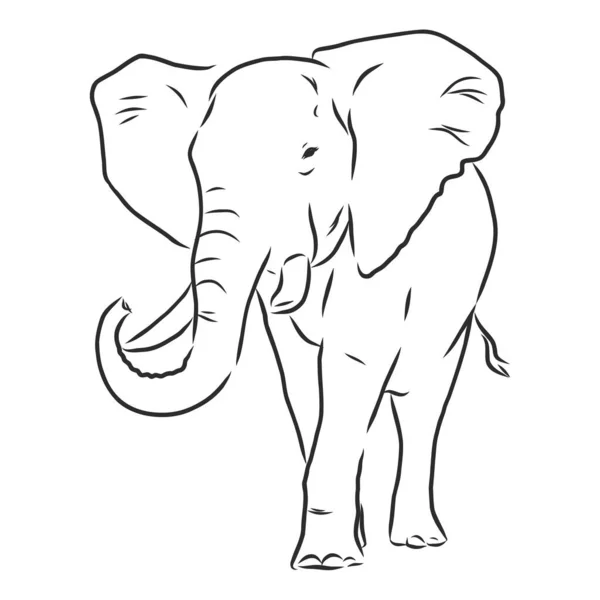 Elefant Silhuett Frihand Vit Bakgrund Vektor Illustration — Stock vektor