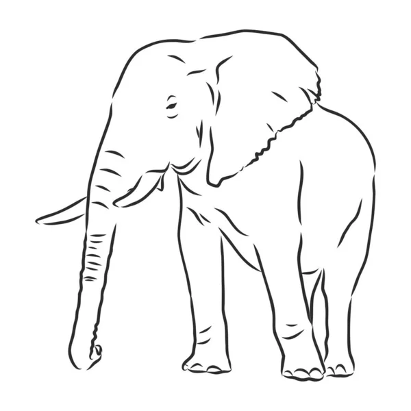 Silhouet Olifant Vrije Hand Een Witte Achtergrond Vector Illustratie — Stockvector