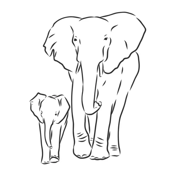 Bébé Éléphant Dans Style Contour Isolé Sur Fond Blanc Illustration — Image vectorielle