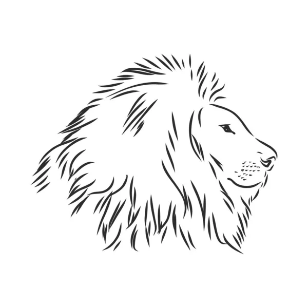 Lion Dessiné Main Illustration Vectorielle Croquis — Image vectorielle